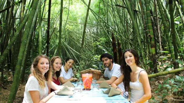 Déjeuner dans une forêt de Guaduas