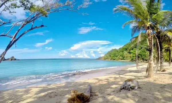 5 vidéos qui donnent envie de voyager en Colombie !