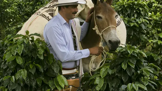 juan Valdez et Conchita en Colombie