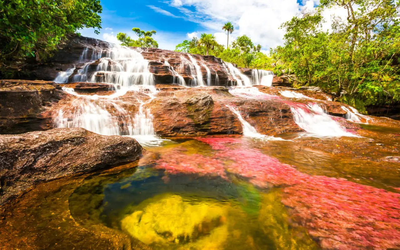 Caño Cristales, la rivière aux 7 couleurs