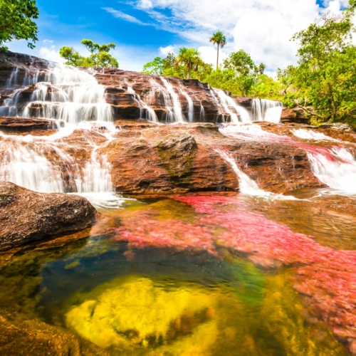 Caños Cristales, la rivière aux 7 couleurs