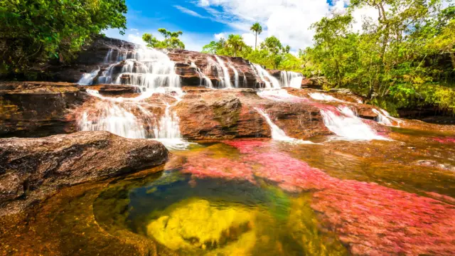 Caño Cristales, la rivière aux 7 couleurs 