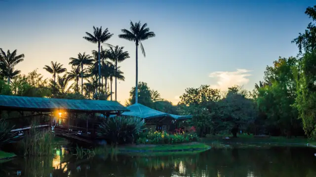 Jardin Botanique de Bogota en Colombie