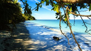 Le parc national de Cahuita au Costa Rica