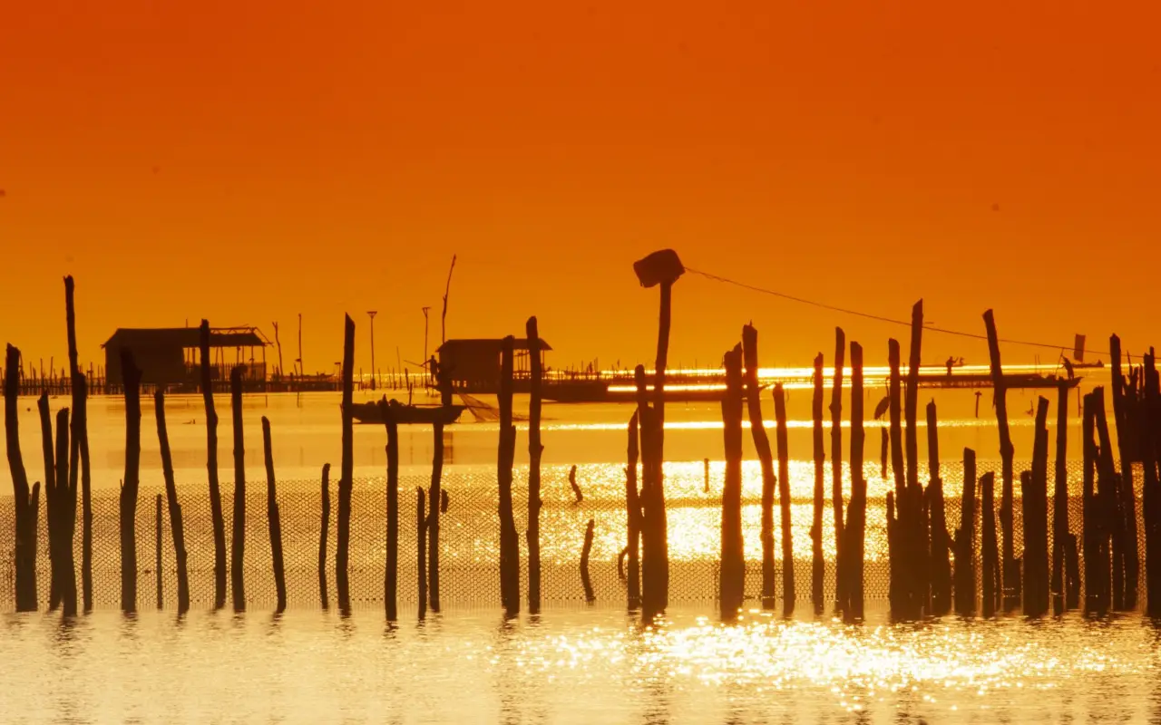 Dans la Cienaga en Colombie