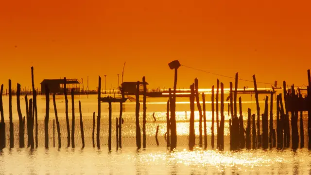 <b>Nueva Venecia, la petite Venise Colombienne</b><br> au bord de la Cienaga