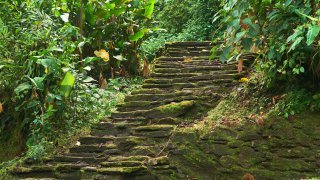 Les marches de la cité perdue en Colombie