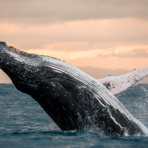 Terra Colombia est certifiée TraveLife Partner!