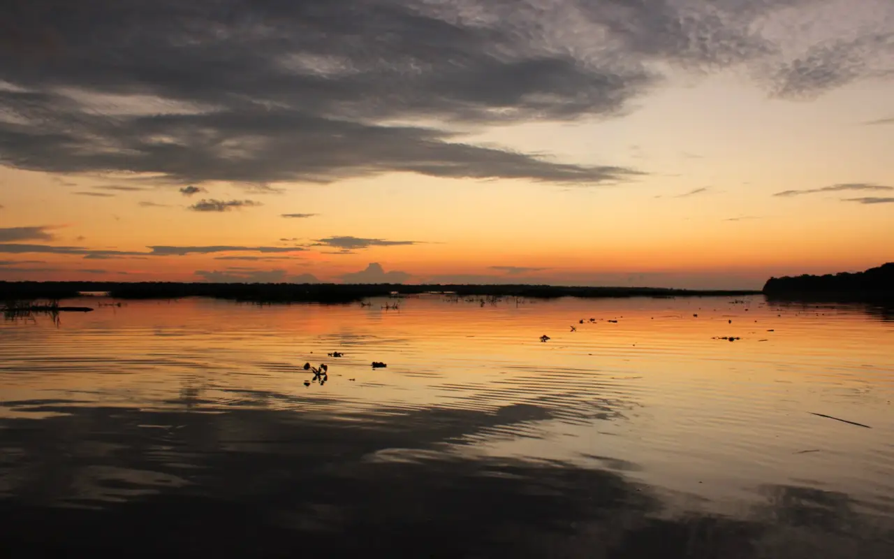 L'Amazonie