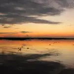L'Amazonie