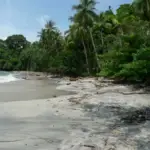 La Côte Pacifique