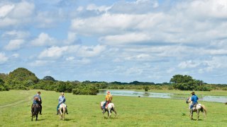 Dans les plaines des Llanos