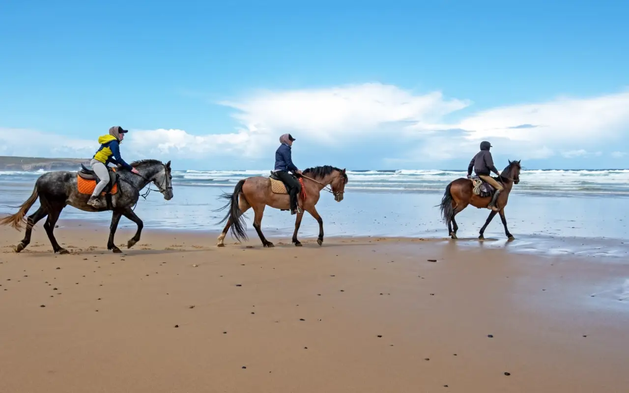 Découvrir la Colombie à cheval