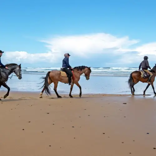 La Colombie à cheval