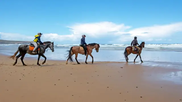 Découvrir la Colombie à cheval 