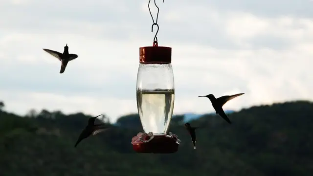 La région du café autrement