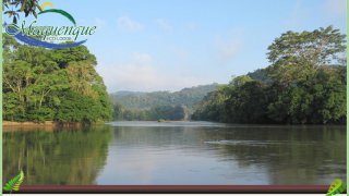 un ecolodge au Costa Rica sur le Rio San Carlos