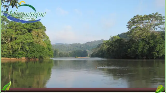 un ecolodge au Costa Rica sur le Rio San Carlos