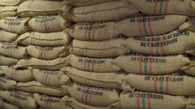 Voyage dans l&rsquo;univers du café colombien