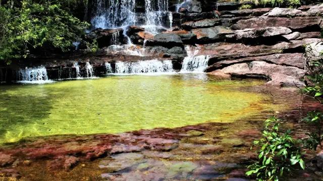 Caño Cristales la rivière aux 7 couleurs en Colombie