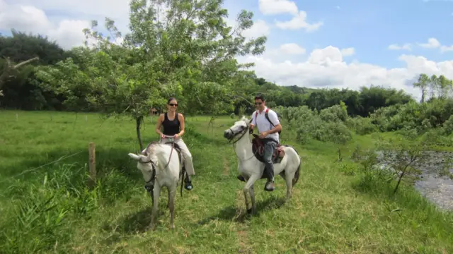 Une balade à cheval