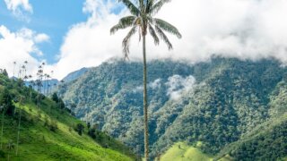 Les incontournables de la Colombie