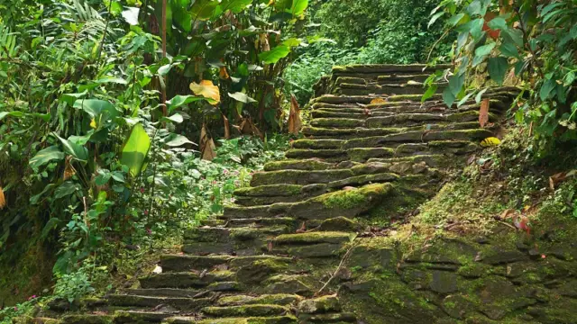 La ciuadad perdida dans la Sierra Nevada de Santa Marta