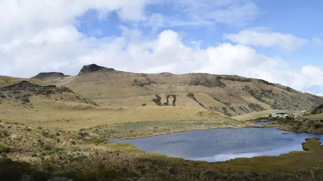 Parc Los Nevados en Colombie