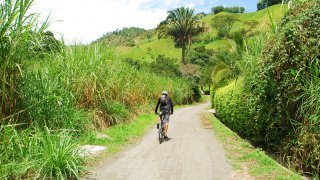 Manizales dans la région du café en Colombie