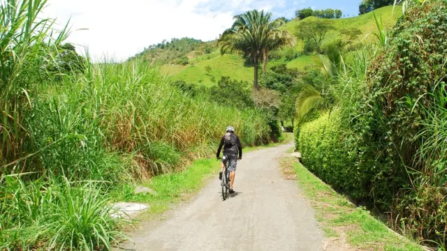 Manizales dans la région du café en Colombie