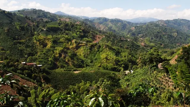 La région de l'Eje Cafetero en Colombie
