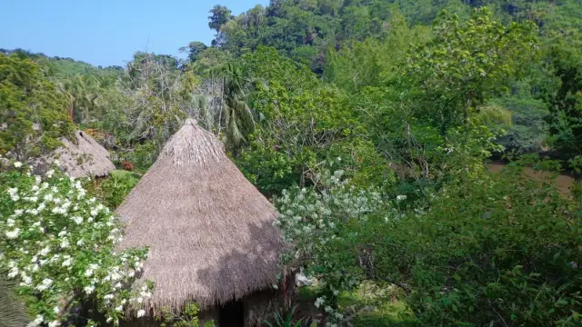 Le site de Tayronaka