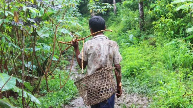 Dans l'Amazonie colombienne