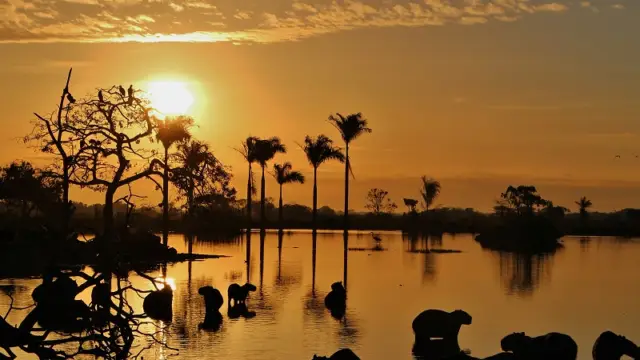 Un coucher de soleil sur les plaines de Llanos en Colombie