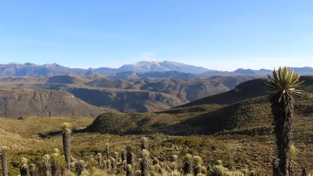 Parc de los Nevados en Colombie