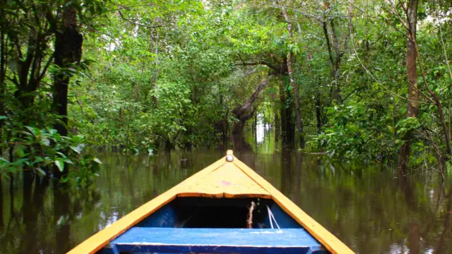 Dans l'Amazonie colombienne
