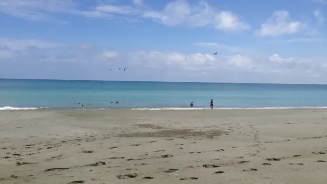 Les plages de Gorgona