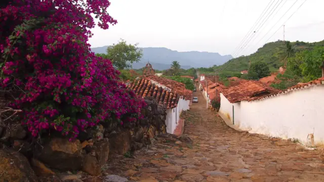 Guane en Colombie