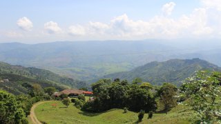 Région du café en Colombie