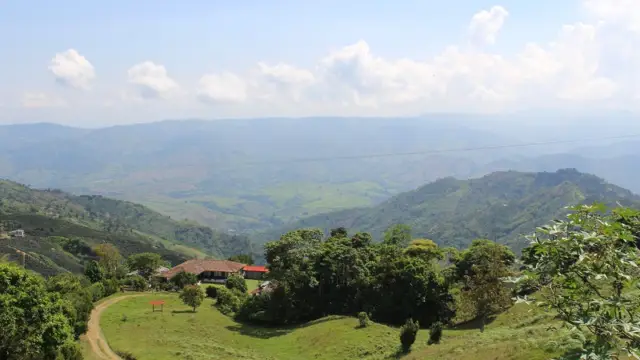 Région du café en Colombie