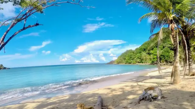 Les plages du Darien en Colombie