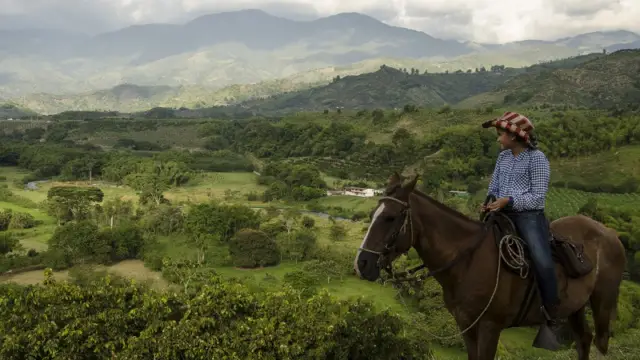 Faire du cheval dans la région d'Arménia en Colombie