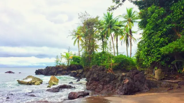 Les plages de la région Pacifique en Colombie