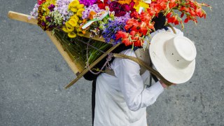 La fête des fleurs à Medellin en Colombie