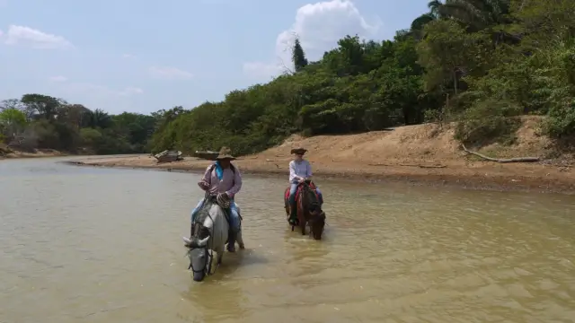 Balade à cheval dans les Llanos