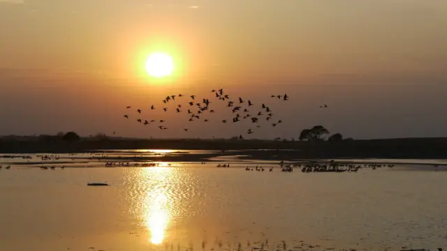 Dans les Llanos en Colombie 