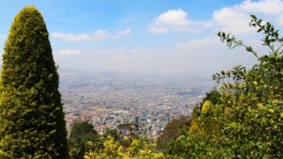 bogota