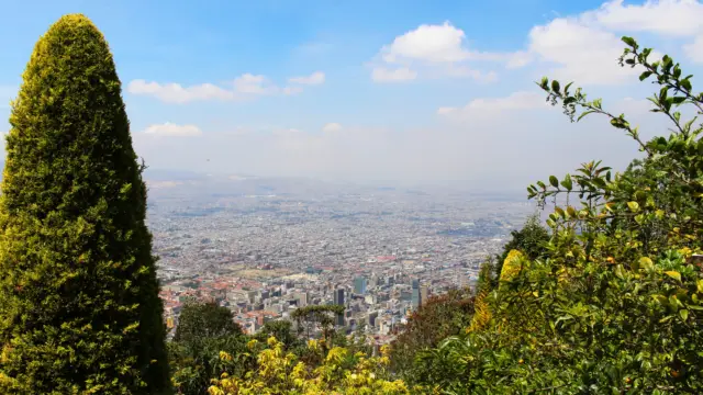 bogota