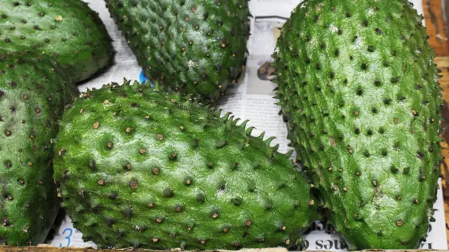 Guanabana un fruit de Colombie
