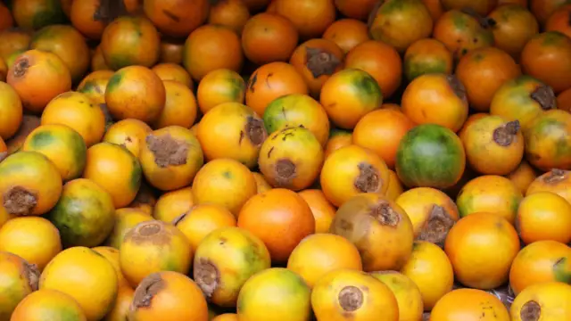 Lulo un fruit de Colombie